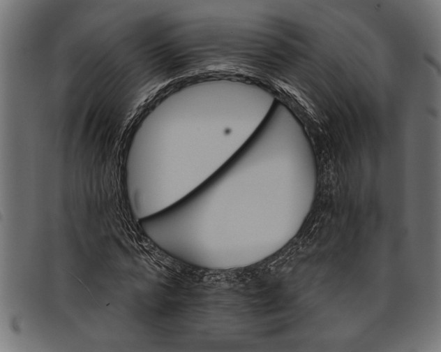 X0000097870776200803281200