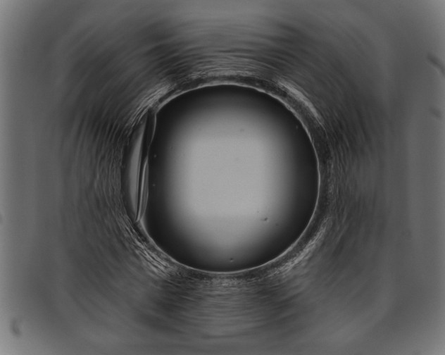 X0000097870777200803281200