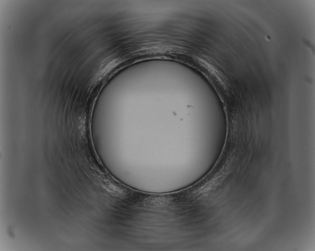 X0000097870778200803281200