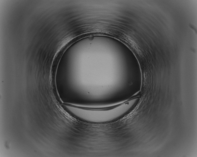X0000097870780200803281200