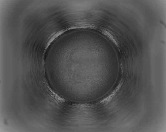 X0000097870781200803281200