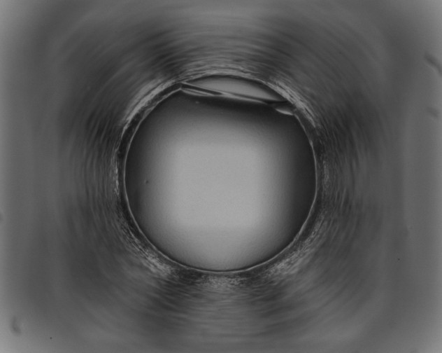 X0000097870782200803281200