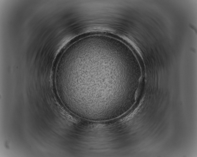 X0000097870783200803281200