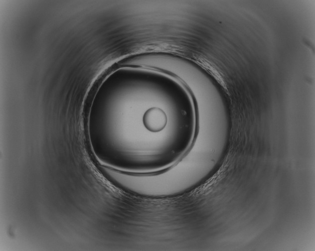 X0000097870784200803281200