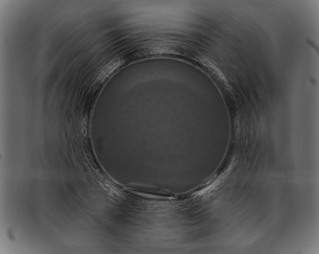 X0000097870785200803281200