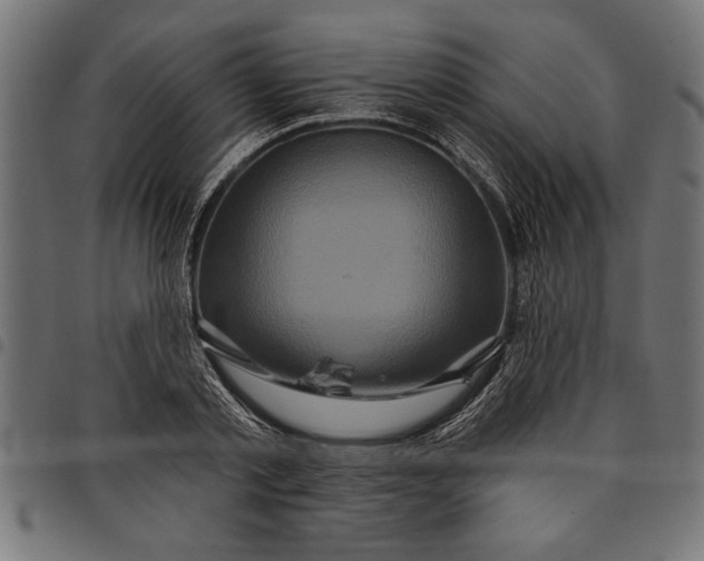X0000097870789200803281200