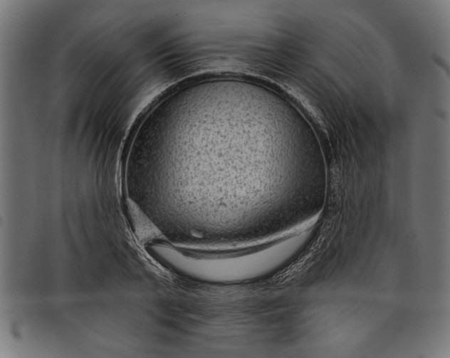 X0000097870791200803281200