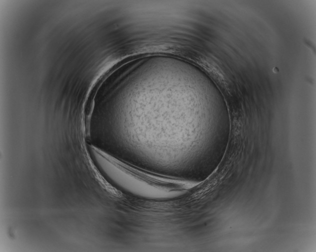X0000097870792200803281200