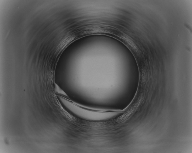 X0000097870793200803281200