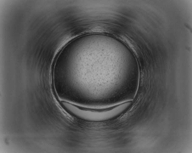 X0000097870795200803281200