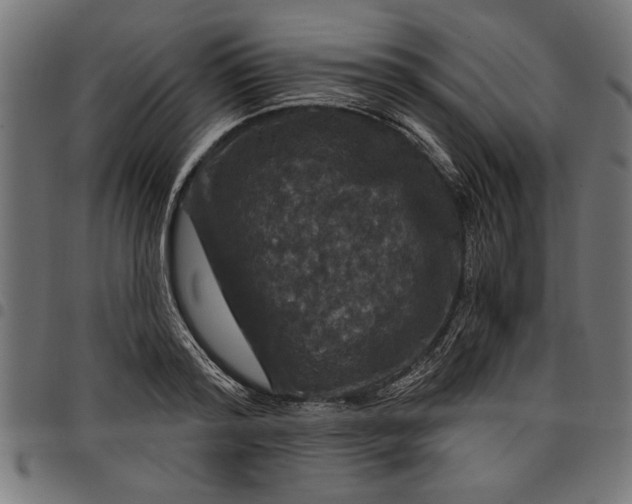 X0000097870796200803281200
