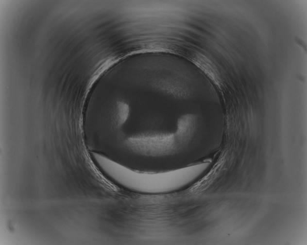 X0000097870797200803281200