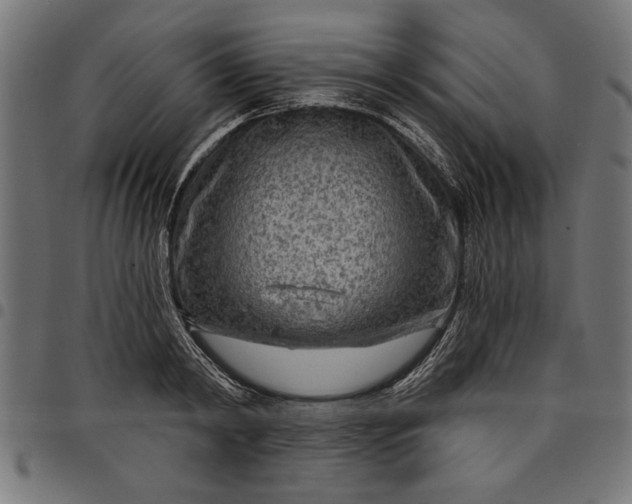 X0000097870798200803281200
