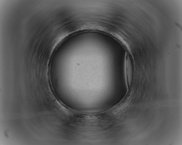 X0000097870799200803281200
