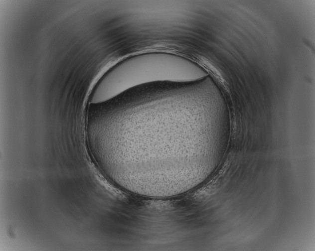 X0000097870800200803281200