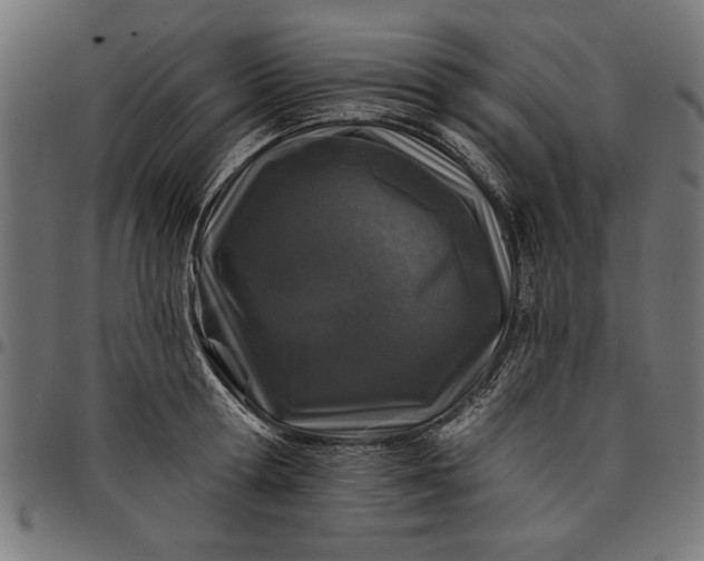 X0000097870802200803281200