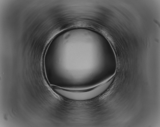 X0000097870803200803281200