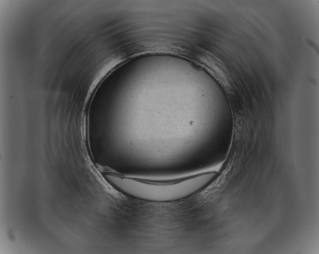 X0000097870804200803281200