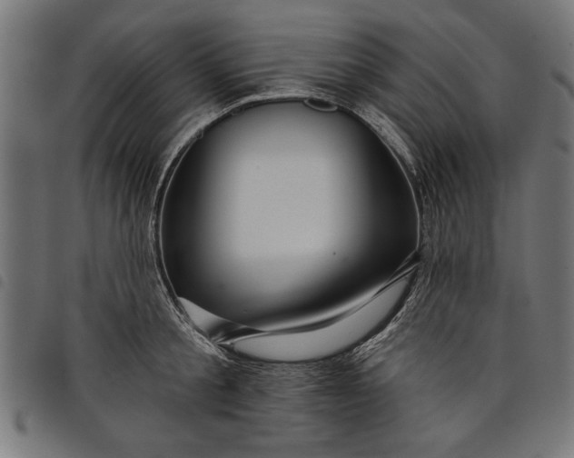 X0000097870805200803281200