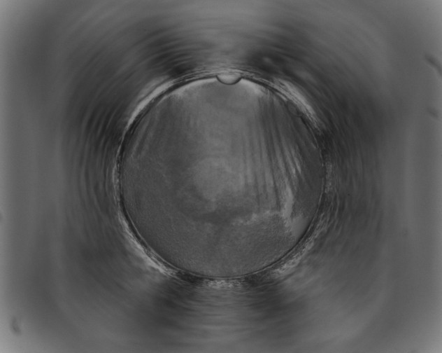 X0000097870806200803281200