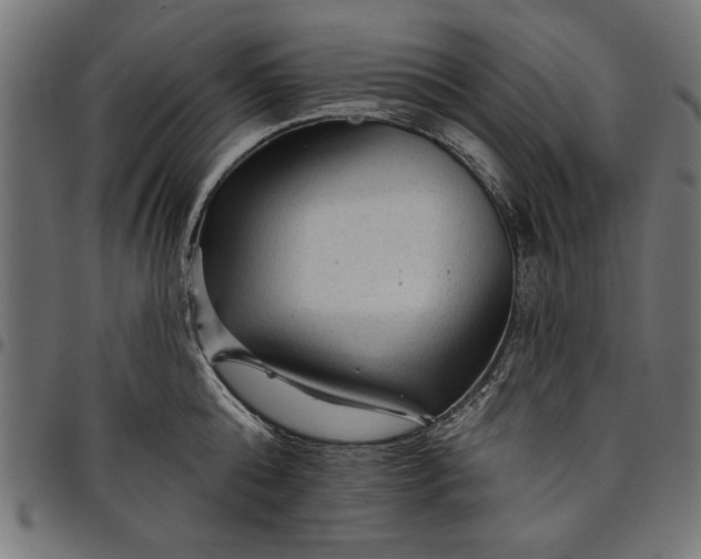 X0000097870808200803281200