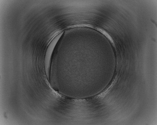 X0000097870809200803281200