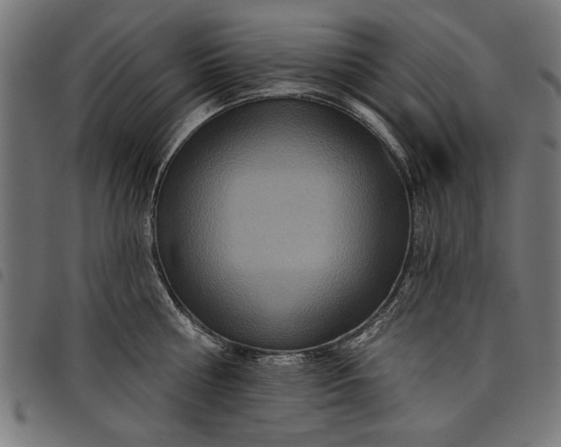 X0000097870810200803281200