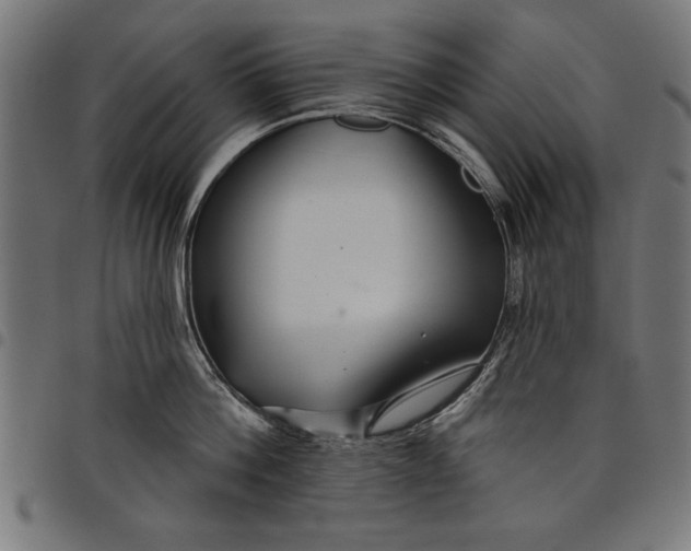 X0000097870812200803281200