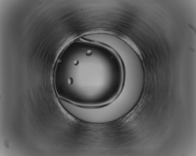 X0000097870813200803281200