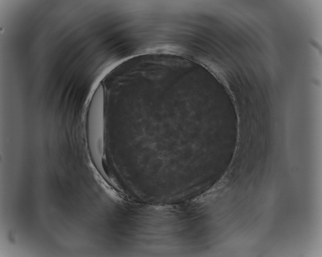 X0000097870816200803281200