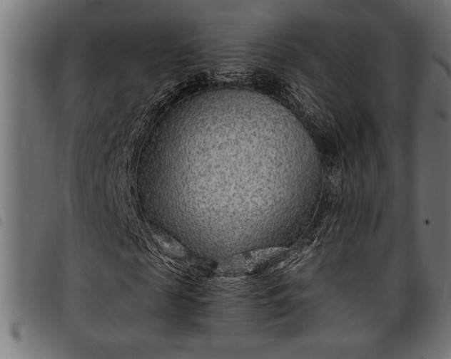 X0000097870817200803281159