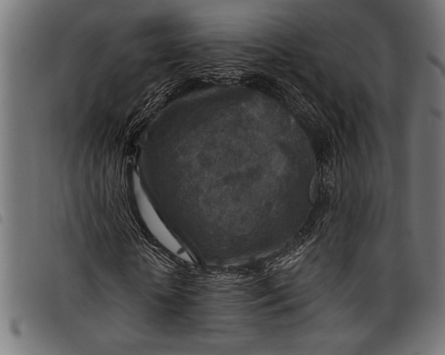 X0000097870818200803281159