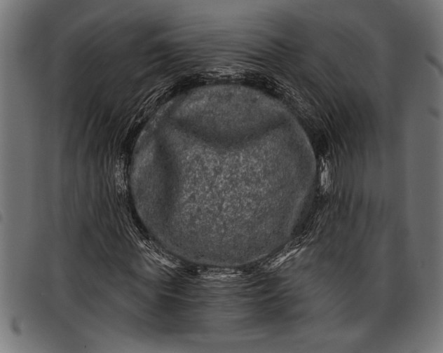 X0000097870819200803281159