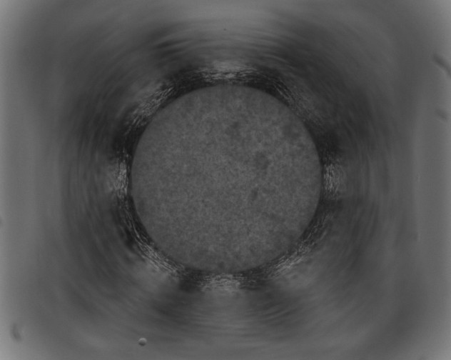 X0000097870820200803281159