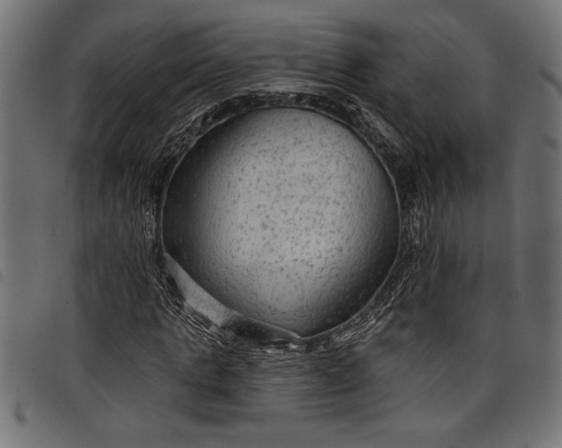 X0000097870821200803281159