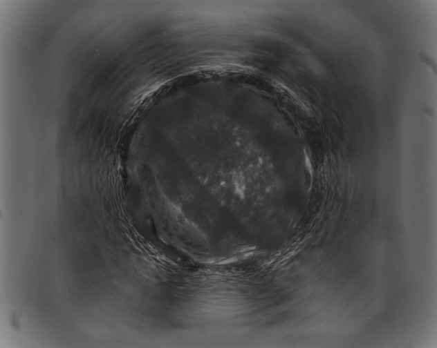 X0000097870822200803281159