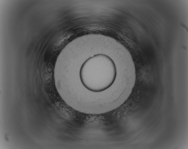 X0000097870824200803281159