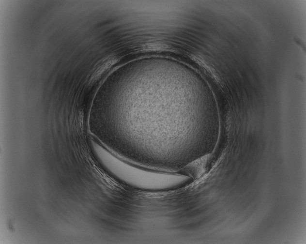 X0000097870825200803281159