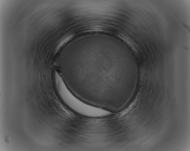 X0000097870826200803281159