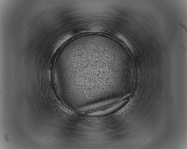 X0000097870827200803281159