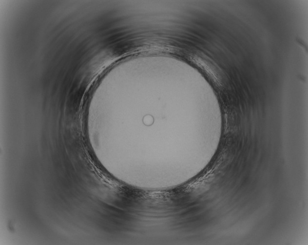 X0000097870828200803281159