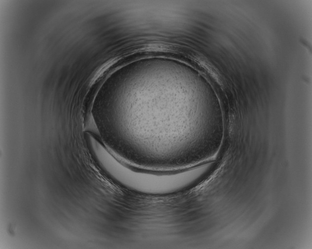 X0000097870829200803281159