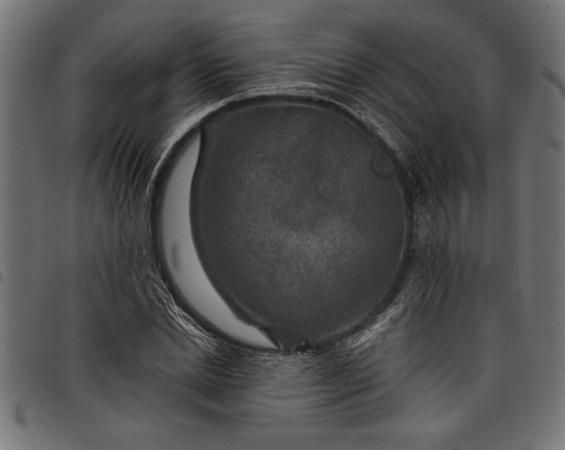 X0000097870830200803281159