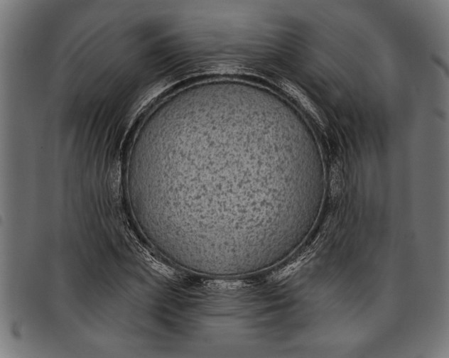 X0000097870831200803281159