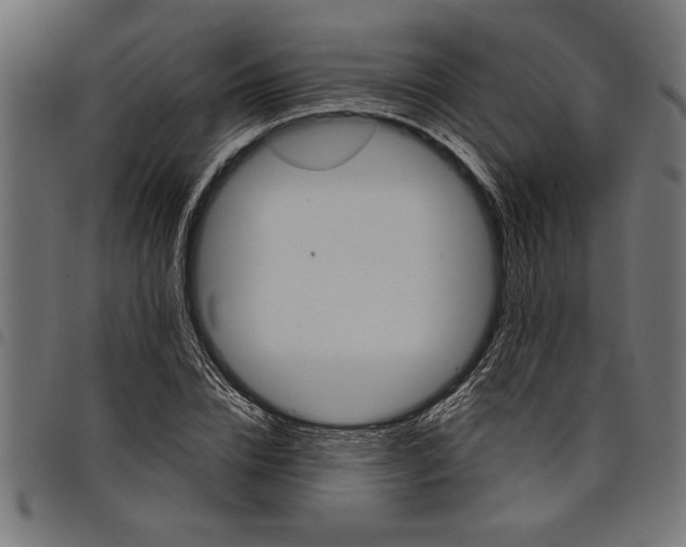 X0000097870832200803281159