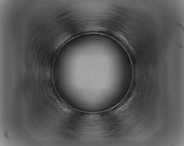 X0000097870833200803281159