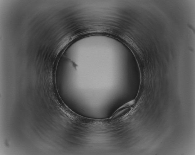 X0000097870834200803281159