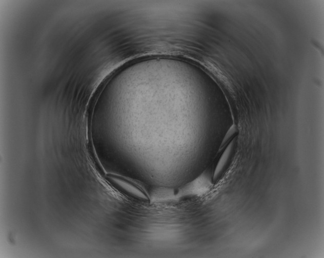 X0000097870838200803281159