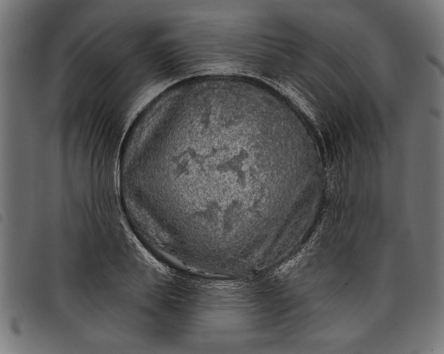 X0000097870839200803281159