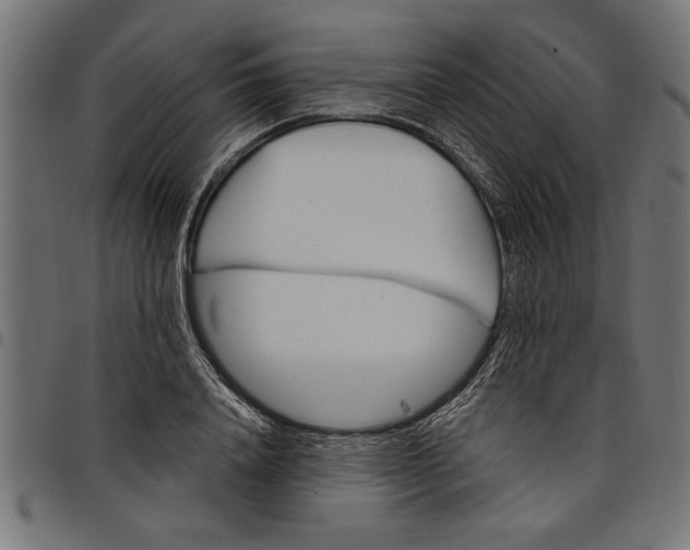 X0000097870840200803281159